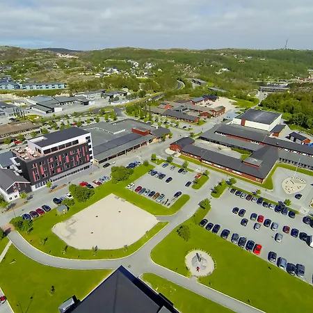 Hjorten Hitra Fillan