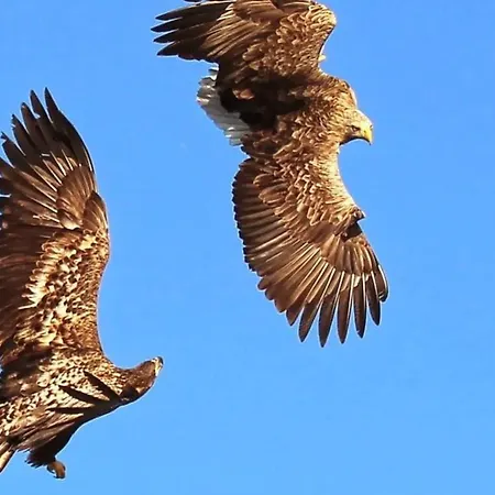 فندق Hjorten Hitra 4*