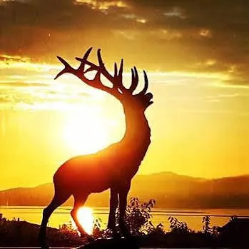 Otel Hjorten Hitra 4*