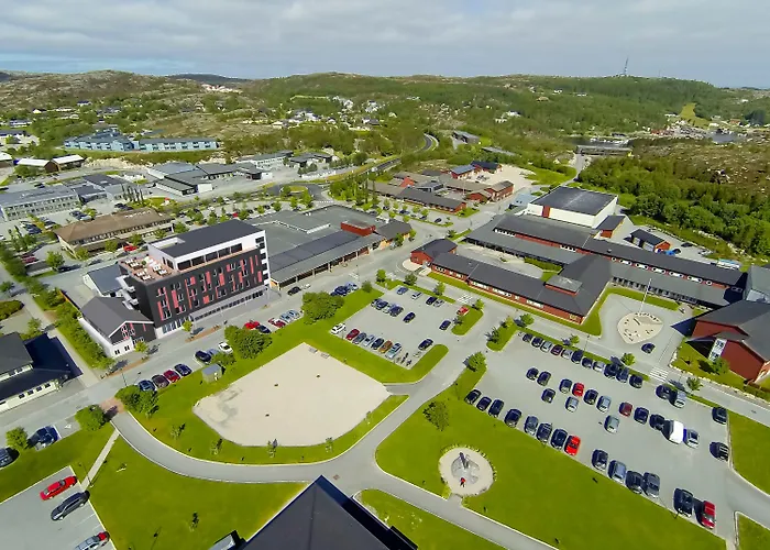 Hjorten Hitra Fillan