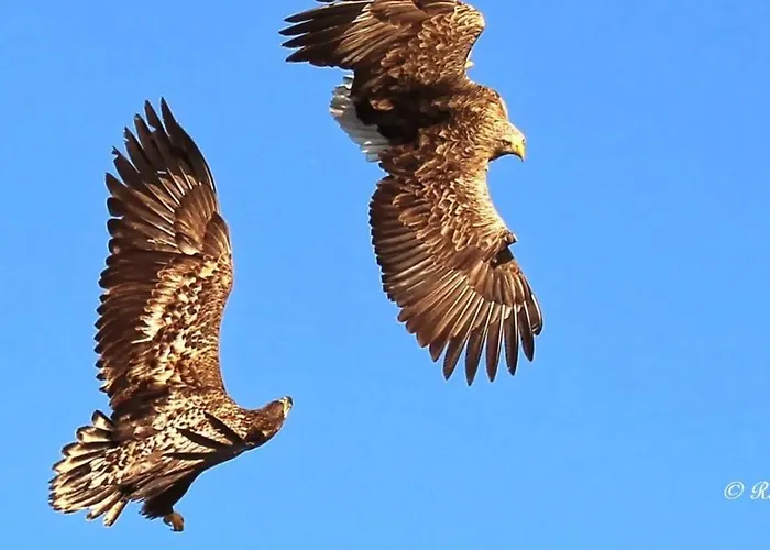 Hotel Hjorten Hitra 4*